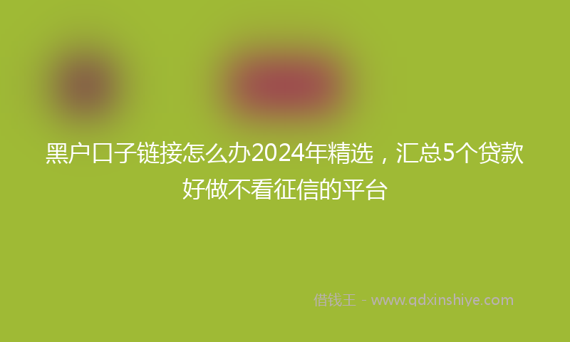 黑户口子链接怎么办2024年精选，汇总5个贷款好做不看征信的平台
