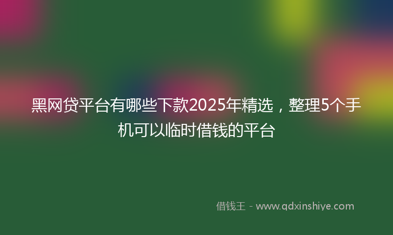 黑网贷平台有哪些下款2025年精选，整理5个手机可以临时借钱的平台