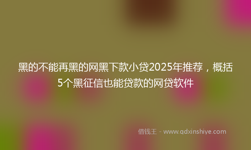 黑的不能再黑的网黑下款小贷2025年推荐，概括5个黑征信也能贷款的网贷软件