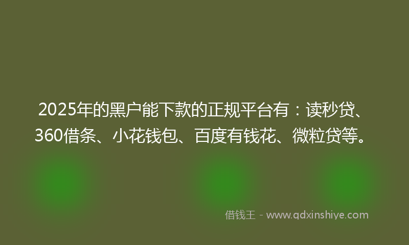 2025年的黑户能下款的正规平台有：读秒贷、360借条、小花钱包、百度有钱花、微粒贷等。