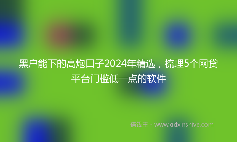 黑户能下的高炮口子2024年精选，梳理5个网贷平台门槛低一点的软件