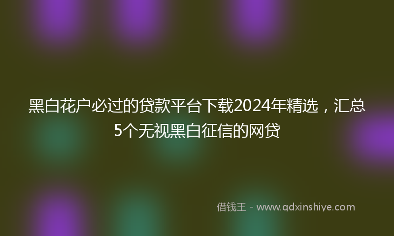黑白花户必过的贷款平台下载2024年精选，汇总5个无视黑白征信的网贷
