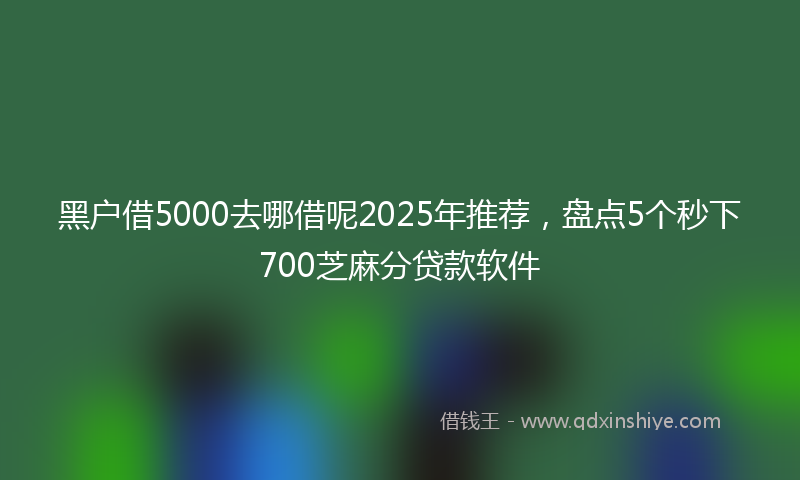 黑户借5000去哪借呢2025年推荐，盘点5个秒下700芝麻分贷款软件