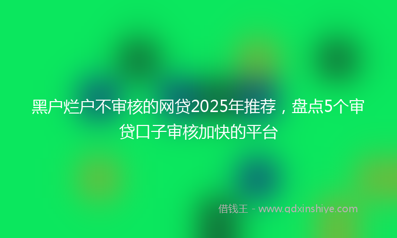 黑户烂户不审核的网贷2025年推荐，盘点5个审贷口子审核加快的平台