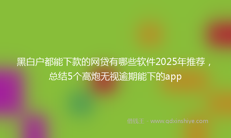 黑白户都能下款的网贷有哪些软件2025年推荐，总结5个高炮无视逾期能下的app