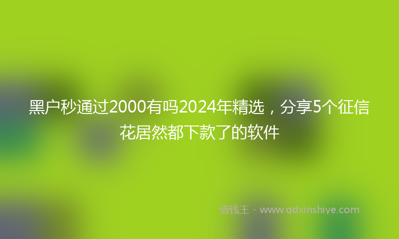黑户秒通过2000有吗2024年精选，分享5个征信花居然都下款了的软件