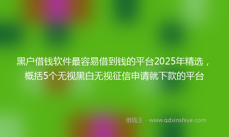 黑户借钱软件最容易借到钱的平台2025年精选，概括5个无视黑白无视征信申请就下款的平台