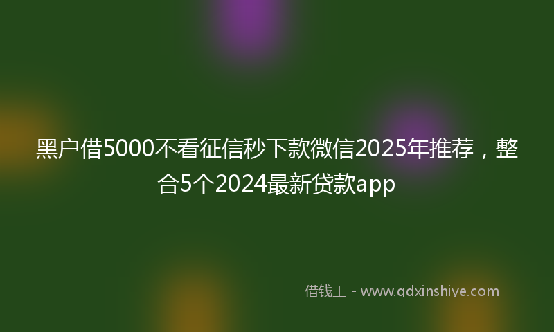 黑户借5000不看征信秒下款微信2025年推荐，整合5个2024最新贷款app