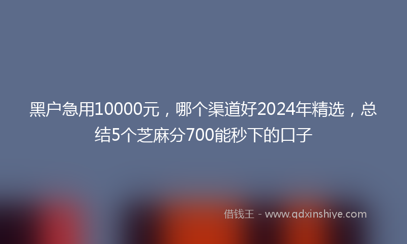 黑户急用10000元，哪个渠道好2024年精选，总结5个芝麻分700能秒下的口子