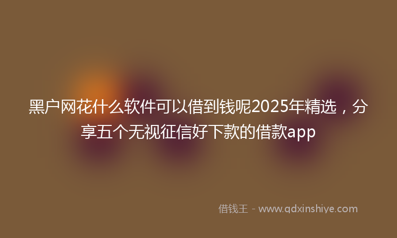 黑户网花什么软件可以借到钱呢2025年精选，分享五个无视征信好下款的借款app