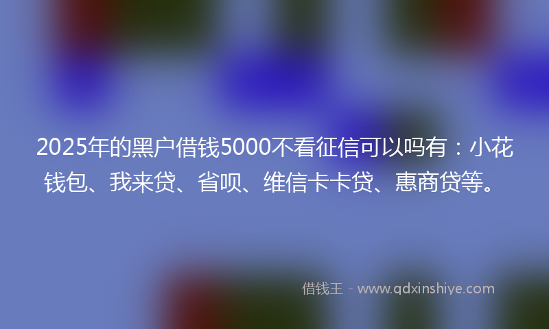 2025年的黑户借钱5000不看征信可以吗有：小花钱包、我来贷、省呗、维信卡卡贷、惠商贷等。