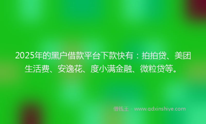 2025年的黑户借款平台下款快有：拍拍贷、美团生活费、安逸花、度小满金融、微粒贷等。