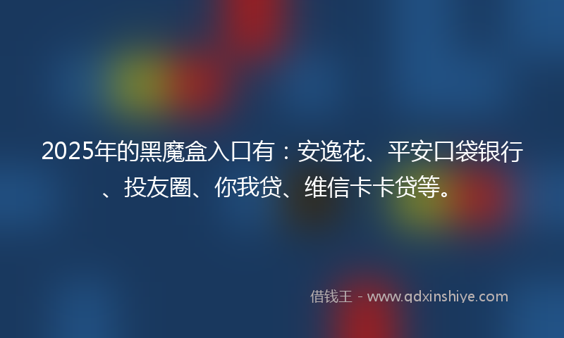 2025年的黑魔盒入口有：安逸花、平安口袋银行、投友圈、你我贷、维信卡卡贷等。