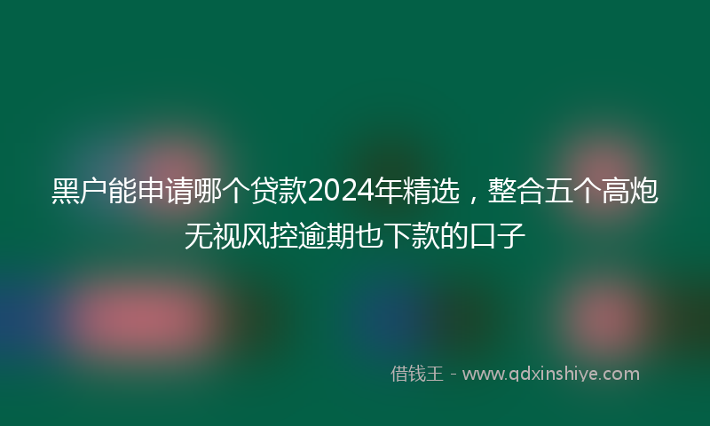 黑户能申请哪个贷款2024年精选，整合五个高炮无视风控逾期也下款的口子