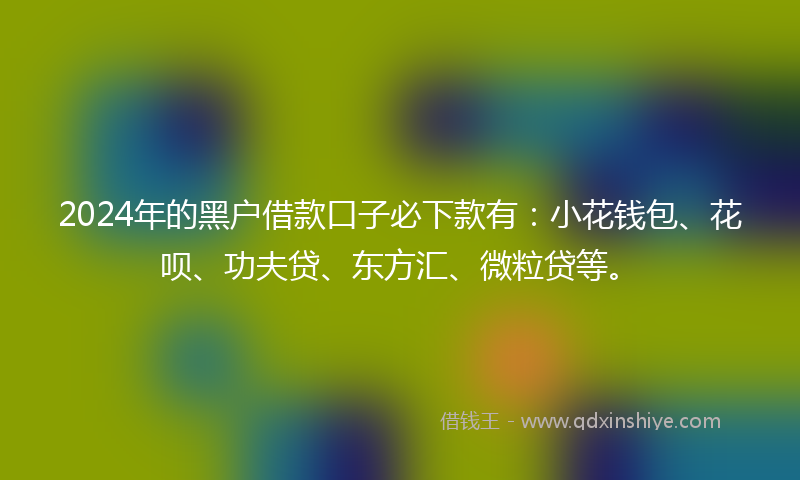 2024年的黑户借款口子必下款有：小花钱包、花呗、功夫贷、东方汇、微粒贷等。