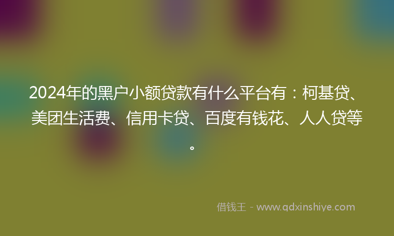 2024年的黑户小额贷款有什么平台有：柯基贷、美团生活费、信用卡贷、百度有钱花、人人贷等。