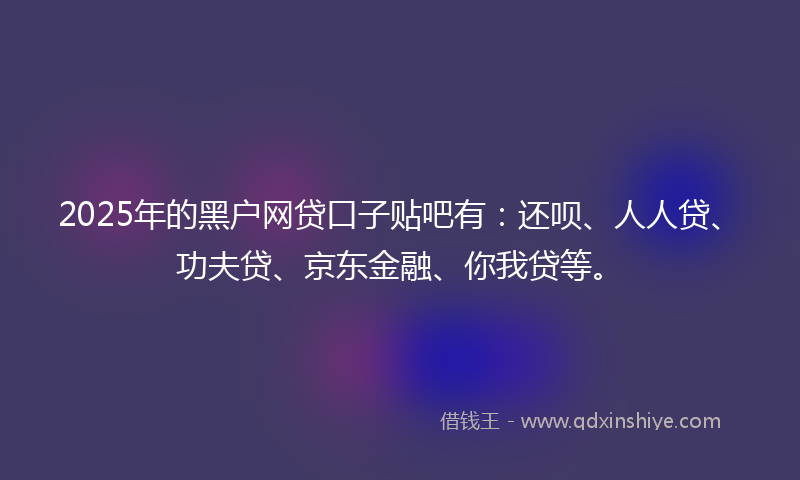2025年的黑户网贷口子贴吧有：还呗、人人贷、功夫贷、京东金融、你我贷等。