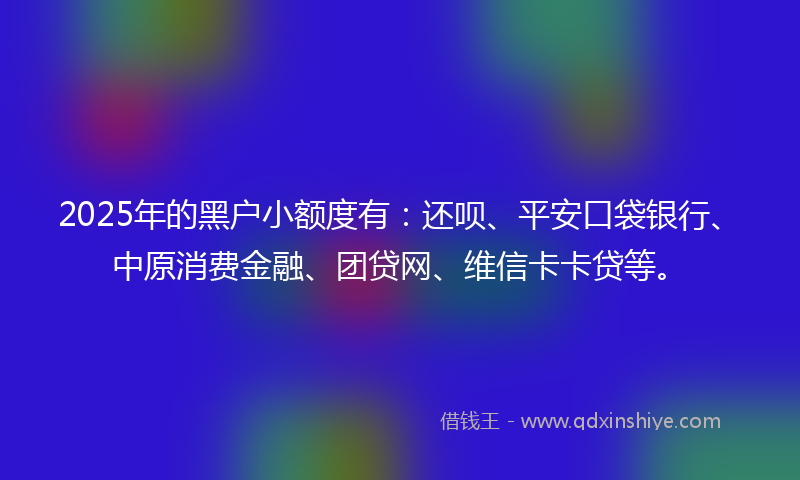 2025年的黑户小额度有：还呗、平安口袋银行、中原消费金融、团贷网、维信卡卡贷等。