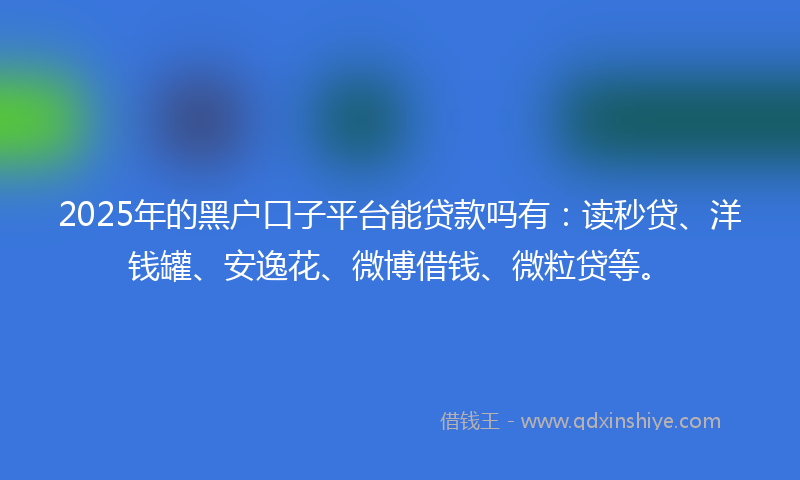 2025年的黑户口子平台能贷款吗有：读秒贷、洋钱罐、安逸花、微博借钱、微粒贷等。