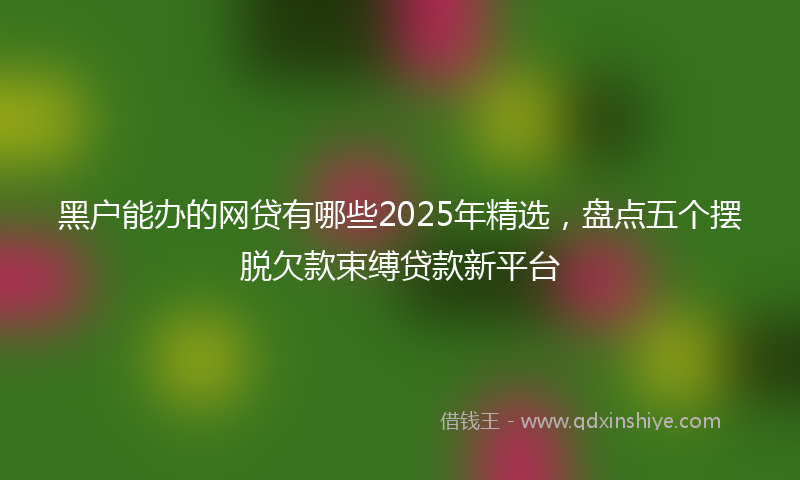 黑户能办的网贷有哪些2025年精选，盘点五个摆脱欠款束缚贷款新平台