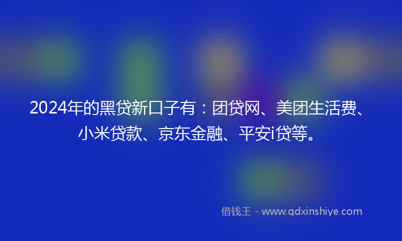 2024年的黑贷新口子有：团贷网、美团生活费、小米贷款、京东金融、平安i贷等。
