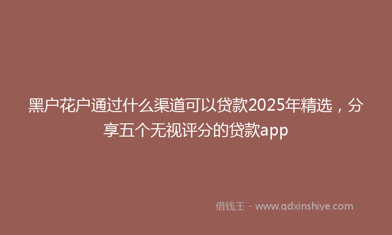 黑户花户通过什么渠道可以贷款2025年精选，分享五个无视评分的贷款app