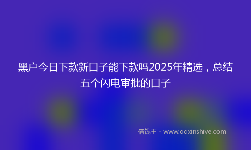 黑户今日下款新口子能下款吗2025年精选，总结五个闪电审批的口子