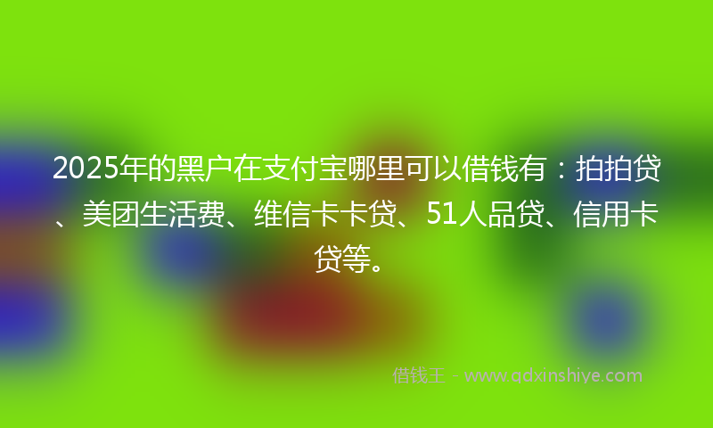 2025年的黑户在支付宝哪里可以借钱有：拍拍贷、美团生活费、维信卡卡贷、51人品贷、信用卡贷等。
