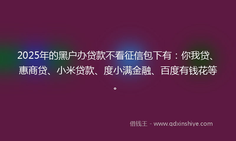 2025年的黑户办贷款不看征信包下有：你我贷、惠商贷、小米贷款、度小满金融、百度有钱花等。