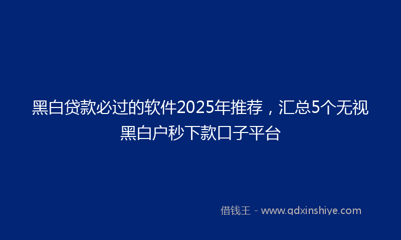 黑白贷款必过的软件2025年推荐，汇总5个无视黑白户秒下款口子平台