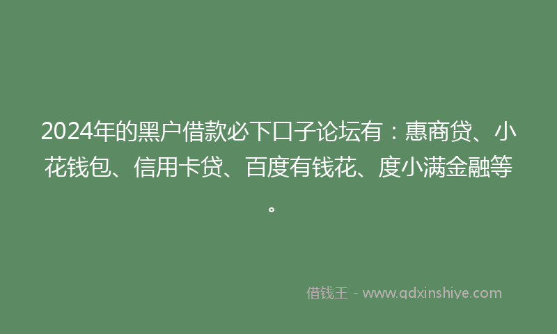 2024年的黑户借款必下口子论坛有：惠商贷、小花钱包、信用卡贷、百度有钱花、度小满金融等。