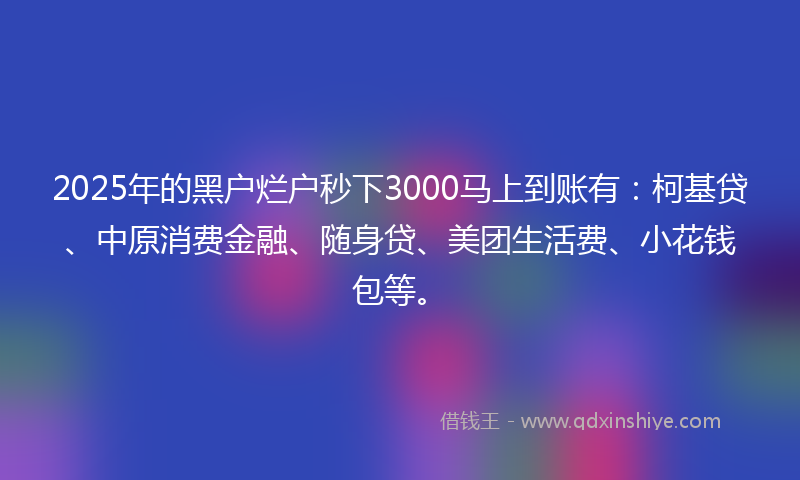 2025年的黑户烂户秒下3000马上到账有：柯基贷、中原消费金融、随身贷、美团生活费、小花钱包等。