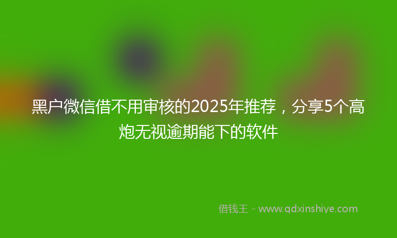黑户微信借不用审核的2025年推荐，分享5个高炮无视逾期能下的软件