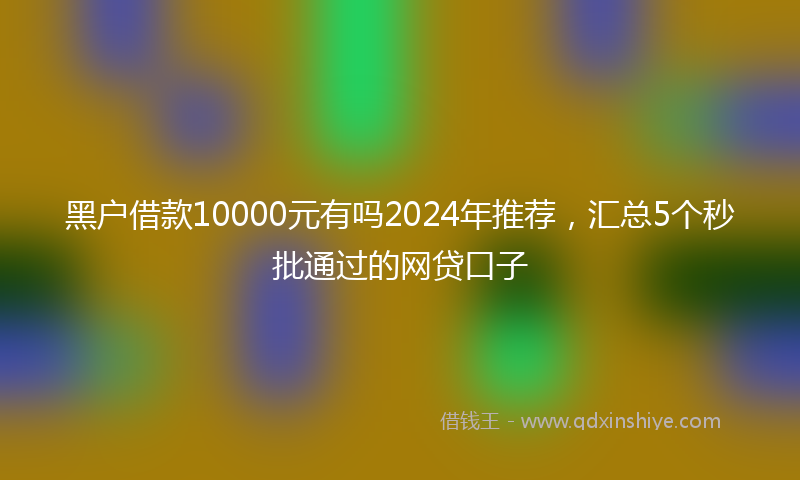 黑户借款10000元有吗2024年推荐，汇总5个秒批通过的网贷口子