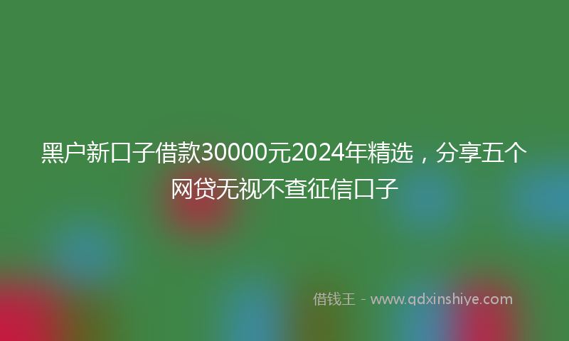 黑户新口子借款30000元2024年精选，分享五个网贷无视不查征信口子