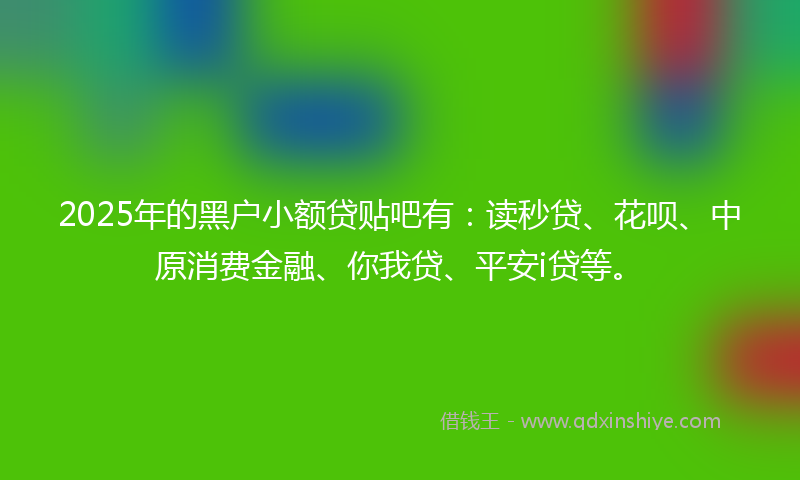 2025年的黑户小额贷贴吧有：读秒贷、花呗、中原消费金融、你我贷、平安i贷等。