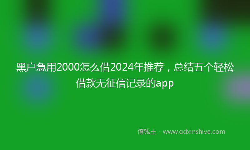 黑户急用2000怎么借2024年推荐，总结五个轻松借款无征信记录的app