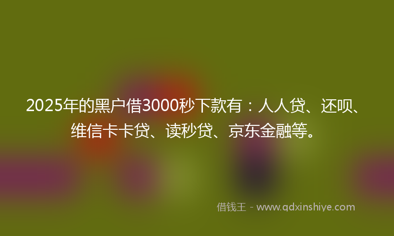 2025年的黑户借3000秒下款有：人人贷、还呗、维信卡卡贷、读秒贷、京东金融等。