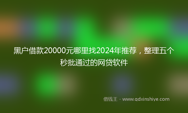 黑户借款20000元哪里找2024年推荐，整理五个秒批通过的网贷软件
