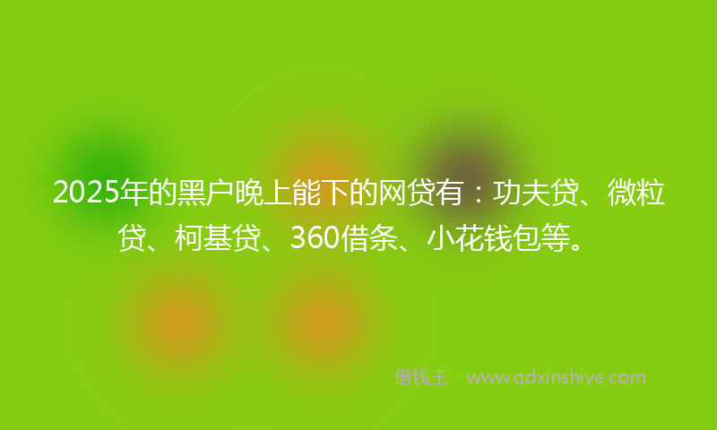 2025年的黑户晚上能下的网贷有：功夫贷、微粒贷、柯基贷、360借条、小花钱包等。