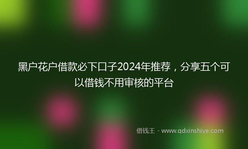 黑户花户借款必下口子2024年推荐，分享五个可以借钱不用审核的平台