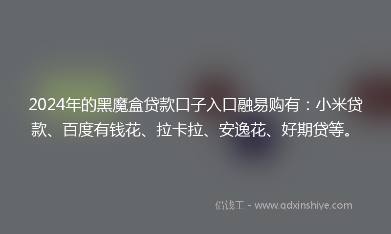 2024年的黑魔盒贷款口子入口融易购有：小米贷款、百度有钱花、拉卡拉、安逸花、好期贷等。