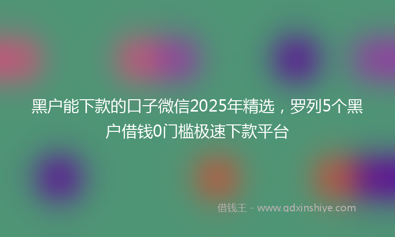 黑户能下款的口子微信2025年精选，罗列5个黑户借钱0门槛极速下款平台