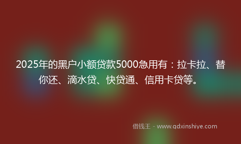 2025年的黑户小额贷款5000急用有：拉卡拉、替你还、滴水贷、快贷通、信用卡贷等。