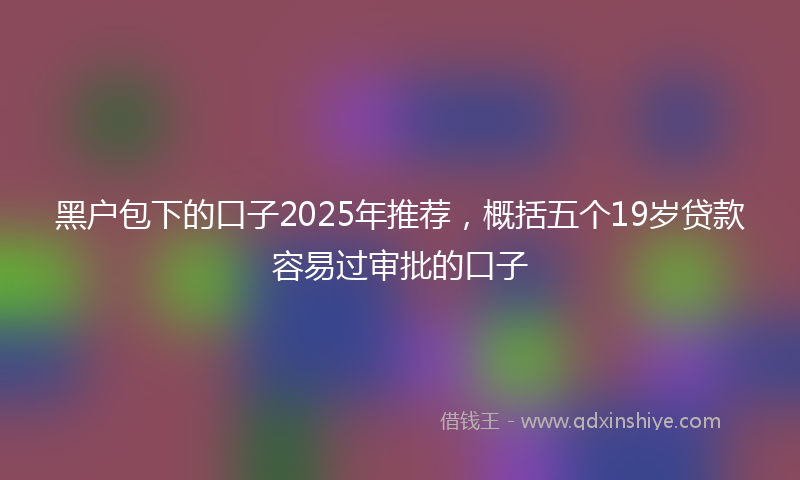 黑户包下的口子2025年推荐，概括五个19岁贷款容易过审批的口子