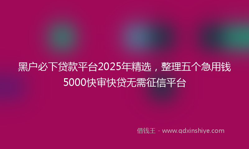 黑户必下贷款平台2025年精选，整理五个急用钱5000快审快贷无需征信平台