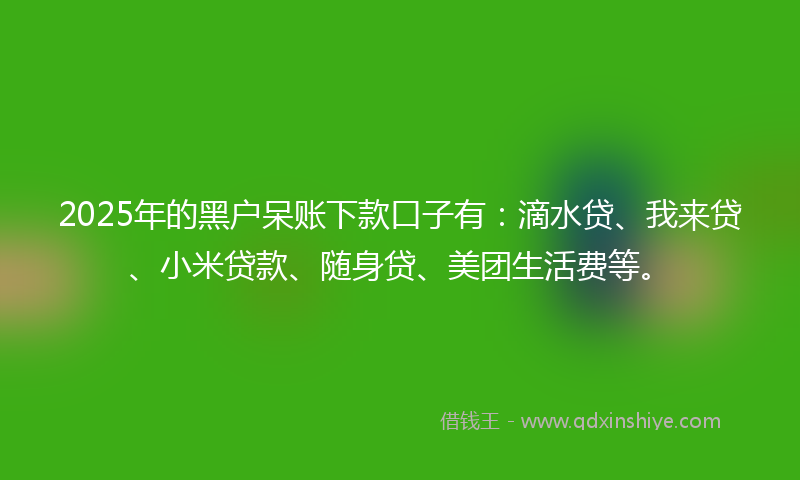 2025年的黑户呆账下款口子有：滴水贷、我来贷、小米贷款、随身贷、美团生活费等。