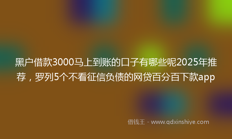 黑户借款3000马上到账的口子有哪些呢2025年推荐，罗列5个不看征信负债的网贷百分百下款app