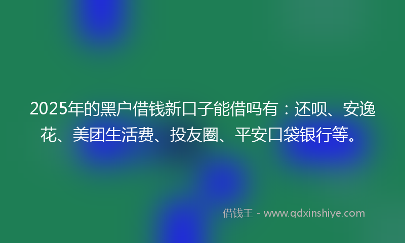 2025年的黑户借钱新口子能借吗有：还呗、安逸花、美团生活费、投友圈、平安口袋银行等。