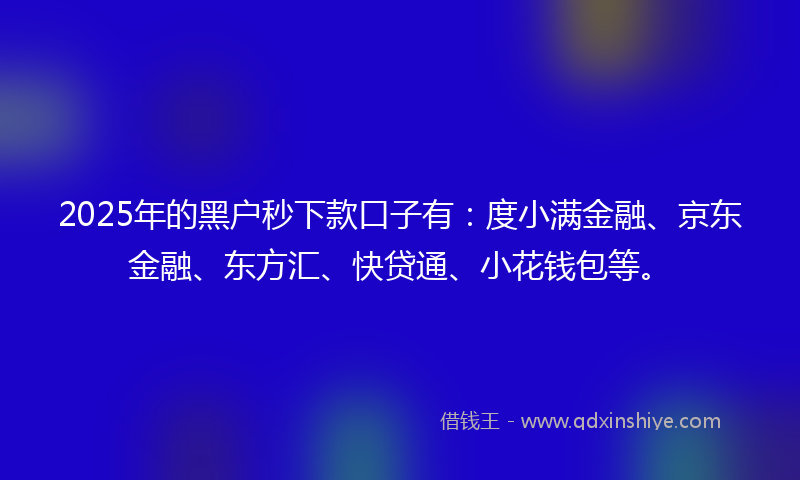 2025年的黑户秒下款口子有：度小满金融、京东金融、东方汇、快贷通、小花钱包等。